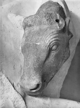 Westmetope 4: Herakles fängt den kretischen Stier