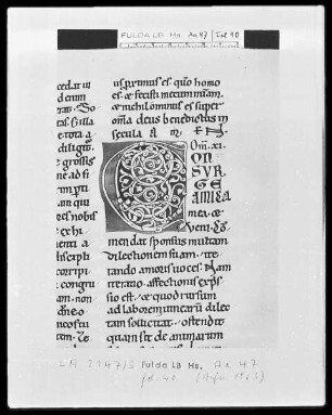 Bernhard von Clairvaux, Sermones in Cantitum Canticorum — Initiale C (on), Folio 40 recto