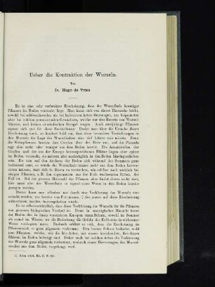 Ueber die Kontraktion der Wurzeln