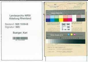 Entnazifizierung Karl Buerger , geb. 10.04.1916 (Revisor)