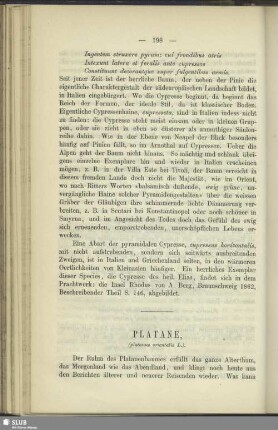 Platane