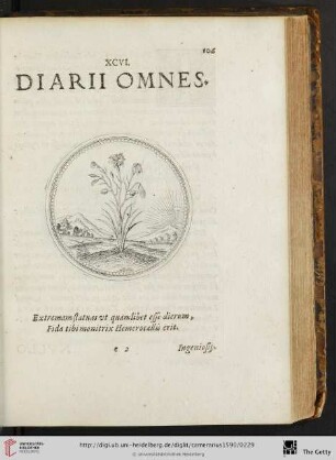 XCVI Diarii omnes
