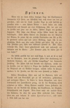 VIII. Spinnen