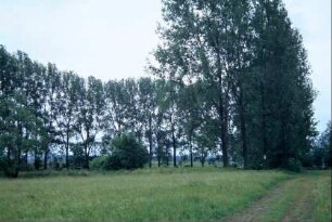 Naturschutzgebiet Teiche