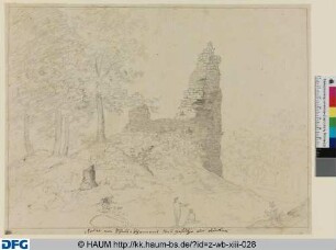 Die Ruine von Burg Schell-Pyrmont