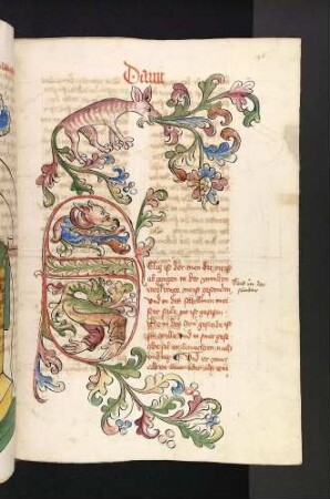 S-Initiale mit Grotesken und Rankenwerk