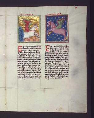 Sterbilder: (1) Pegasus (Equus vespertinus); (2) Kleines Pferd (Equus secundus)
