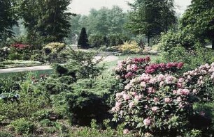 Dresden. Großer Garten. Parkteil mit Rhododendren