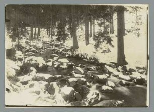 Foto, Wernigerode