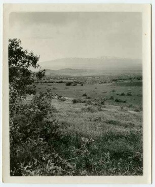 Hermon v. golan