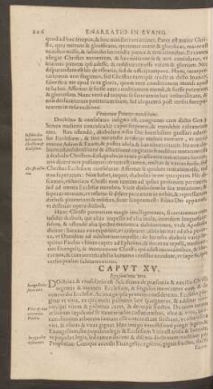 Caput XV. Ego sum vitis vera.