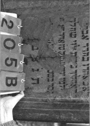 Grabstein 205 (Index: 99786014) Maße HxBxT: 162x63x23 cm Symbolik: Levitenkanne: Grabstein 205B