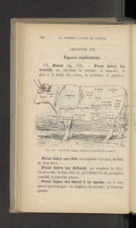 Chapitre XVI Figures explicatives.
