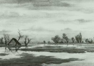 Landschaft