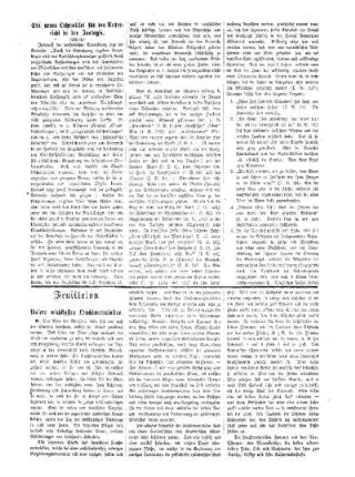 Feuilleton. Unsere wichtigsten Leuchtmaterialien