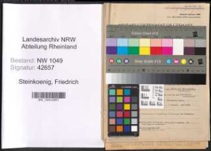 Entnazifizierung Friedrich Steinkoenig , geb. 31.10.1901 (Revisor)