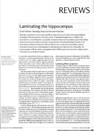 Laminating the hippocampus