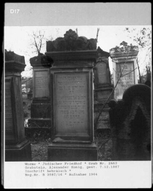 Grabstein von Alexander Honig (gestorben 1887.12.07)