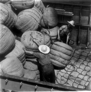 Hamburg. Hafen. Schauerleute entladen Säcke aus dem Laderaum eines Schiffes