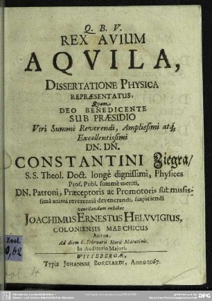 Rex avium aquila