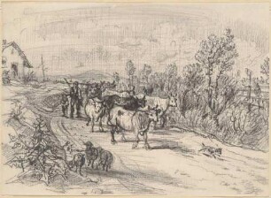 Kuhherde auf der Landstraße