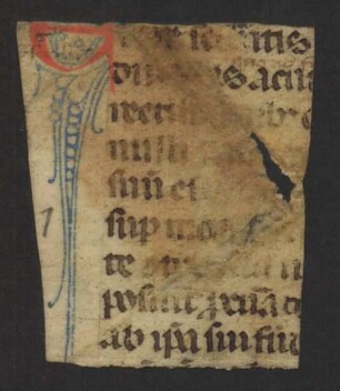 Registrum (Fragm., 14. Jh.)