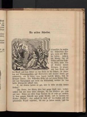 Die wilden Schwäne.