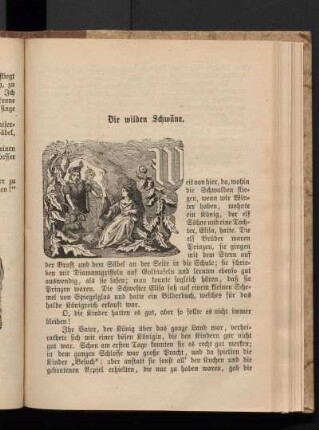 Die wilden Schwäne.