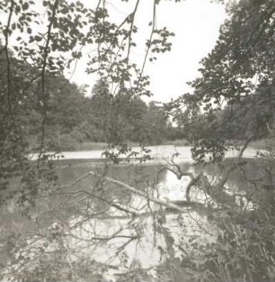 Saßleben. Landschaftspark. Blick über den Teich nach Norden
