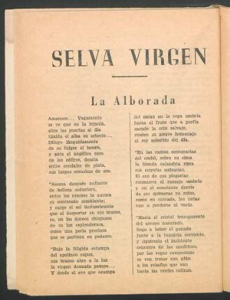 Selva virgen