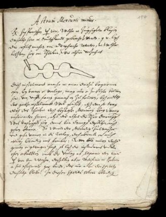 Astrum mercurii minus