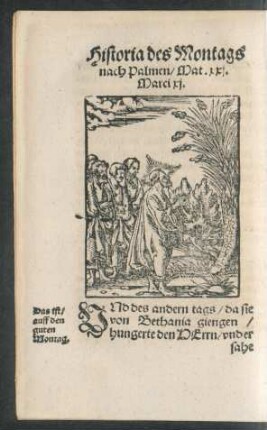 Historia des Montags nach Palmen/ Mat. xxi. Marci xi.