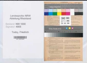 Entnazifizierung Friedrich Todzy, geb. 29.04.1906 (Zollsekretaer)