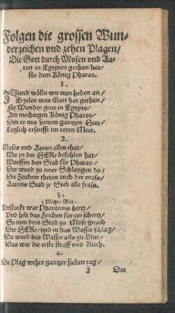 Folgen die grossen Wunderzeichen und zehen Plagen ...