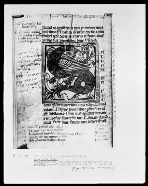 Psalterium aus dem Augsburger Dominikanerkloster — Initiale S (aluum) mit Drache, Folio 40verso