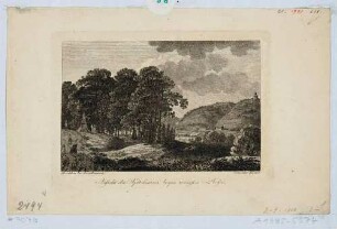 Ansicht der Weinberge in Radebeul-Oberlößnitz, Blick von dem Gasthof "Weißes Roß" an der Meißner Str. 148 auf das Spitzhaus