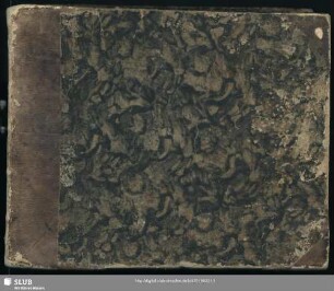 Briefe Elisas v. d. Recke aus den Jahren 1771-1778 - Mscr.Dresd.R.255 : [Briefabschriften von unbekannter Hand ]