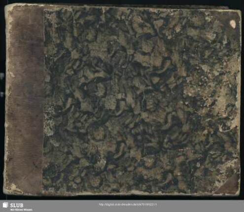 Briefe Elisas v. d. Recke aus den Jahren 1771-1778 - Mscr.Dresd.R.255 : [Briefabschriften von unbekannter Hand ]