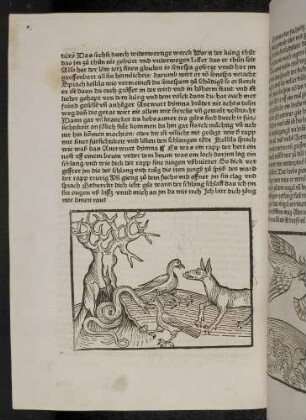 Der Fuchs, der Rabe und die gefräßige Schlange; (Kapitel II: Von dem Löwen und dem Ochsen)