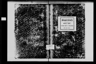 Trienz, evangelische und katholische Gemeinde: Standesbuch 1868-1869