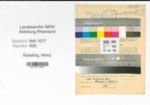 Entnazifizierung Heinz Koesling , geb. 27.07.1910 (Polizist)