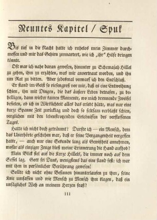 Neuntes Kapitel / Spuk