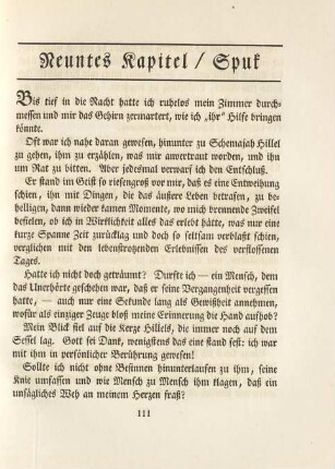 Neuntes Kapitel / Spuk