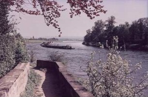 Dresden-Pillnitz. Blick auf Schiffe auf der Elbe