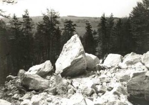 Sächsische Schweiz. Felssturz am Papststein am 17.01.1972. Abrißnische, Schuttkegel und Forstschäden an der Südseite oberhalb Papstdorf