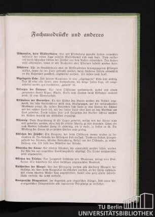 Fachausdrücke und anderes