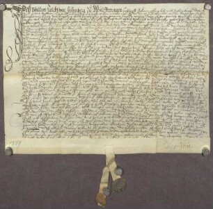 Gültverschreibung von Philipp Falck von Festenberg, wohnhaft zu Wilferdingen, über 50 Gulden Hauptgut, für das er jährlich 2 1/2 Gulden an den geistlichen Kasten zu Pforzheim zahlt.