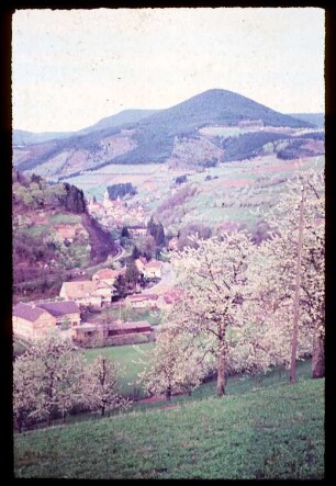 Ortsansicht Peterstal