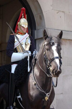 Wache der Horse Guards vor dem Quartier der Wache in Westminster