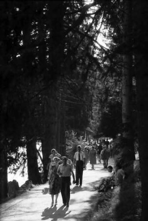 Titisee: Spaziergänger Seepromenade